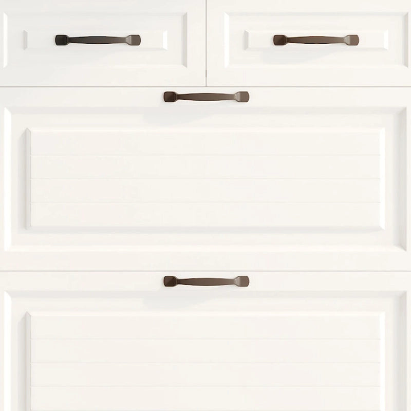 Minimalist Design Multifunctional Tall Shoe Storage Cabinet