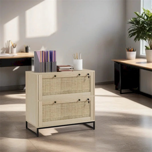 2 Drawer File Cabinet with Lock,Vertical Filing Cabinet with Keys