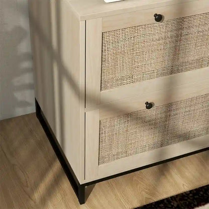 2 Drawer File Cabinet with Lock,Vertical Filing Cabinet with Keys